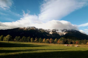 CasaLucía - hometel Puchberg Am Schneeberg
